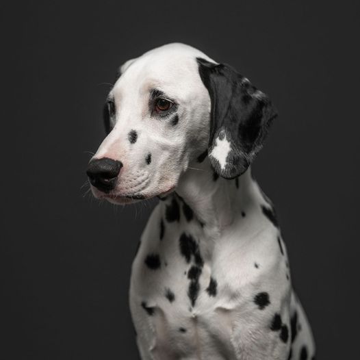 WAS MACHT EIGENTLICH…