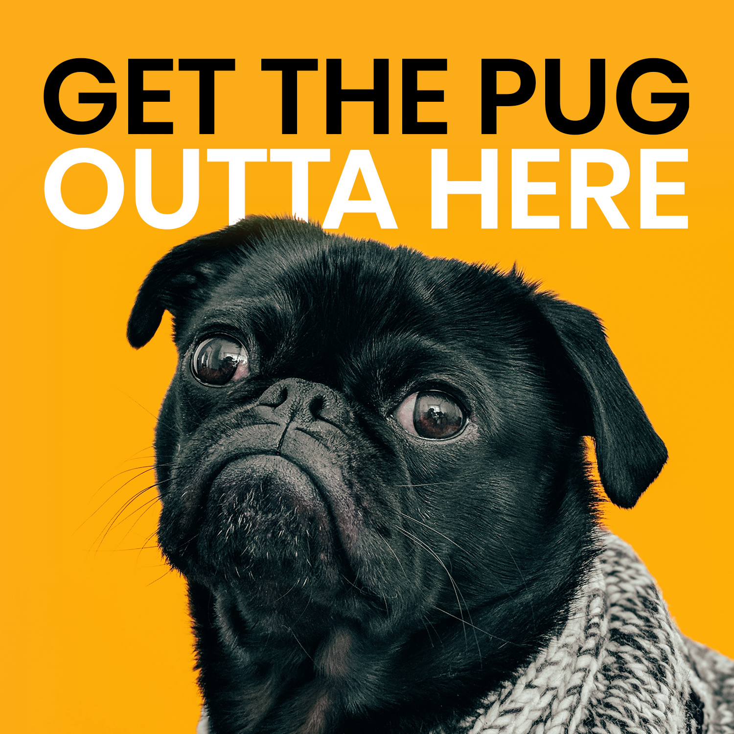 GET THE PUG OUTTA HERE! new media labs