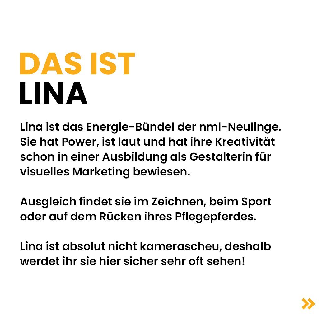 New at new media labs - Lina