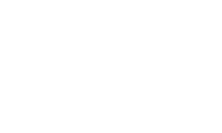 SoftExpress - Online-Shop Referenz von new media labs