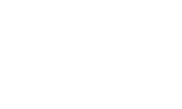 Kinopalast - Referenz von new media labs