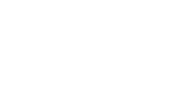 Ritter & Partner - Referenz von new media labs