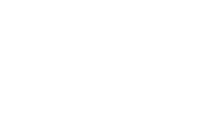 WSP - Referenz von new media labs